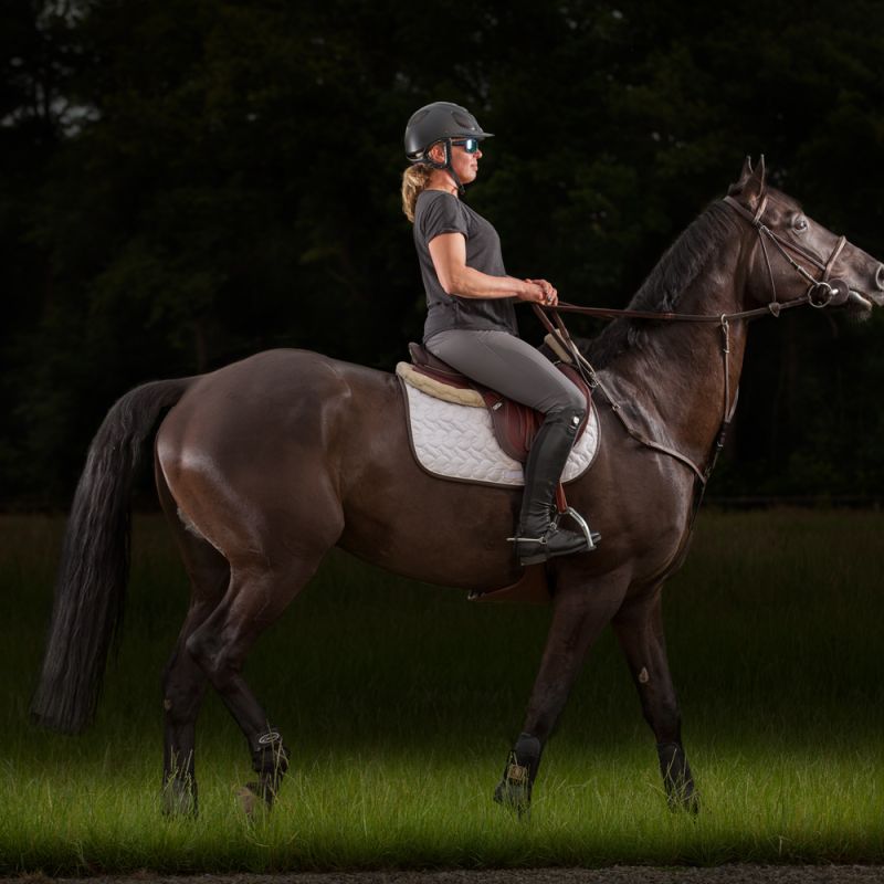 RIDER BWG STABLES, Tubbergen
